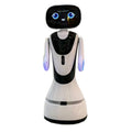 2026 New Multi-Language Intelligent Commercial Delivery Robot Innovative Dialogue Service Robot